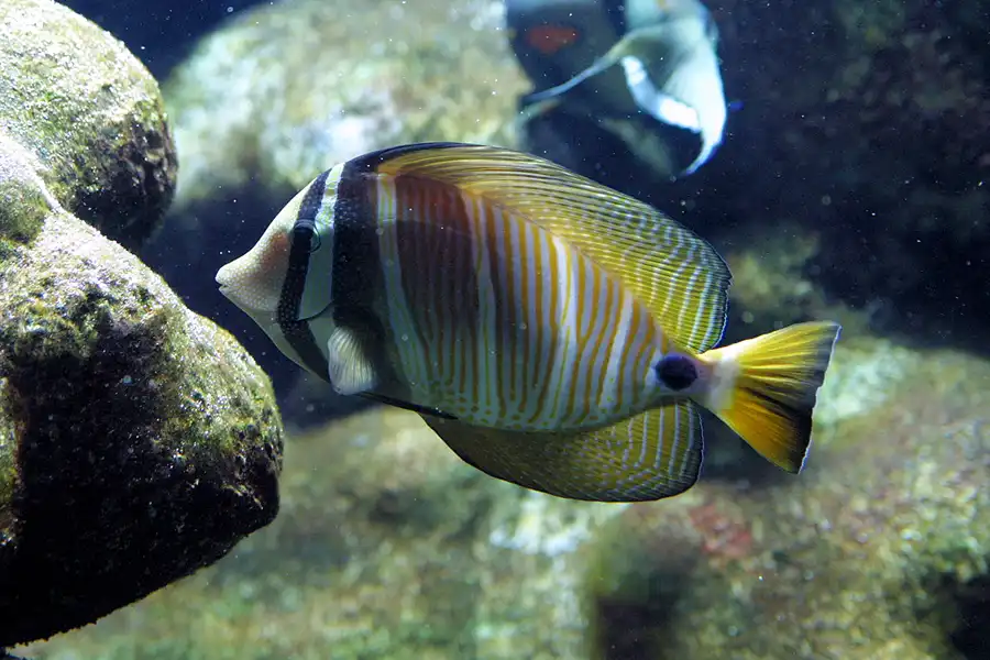 037 | 2004 | Basel | Zoologischer Garten | © carsten riede fotografie