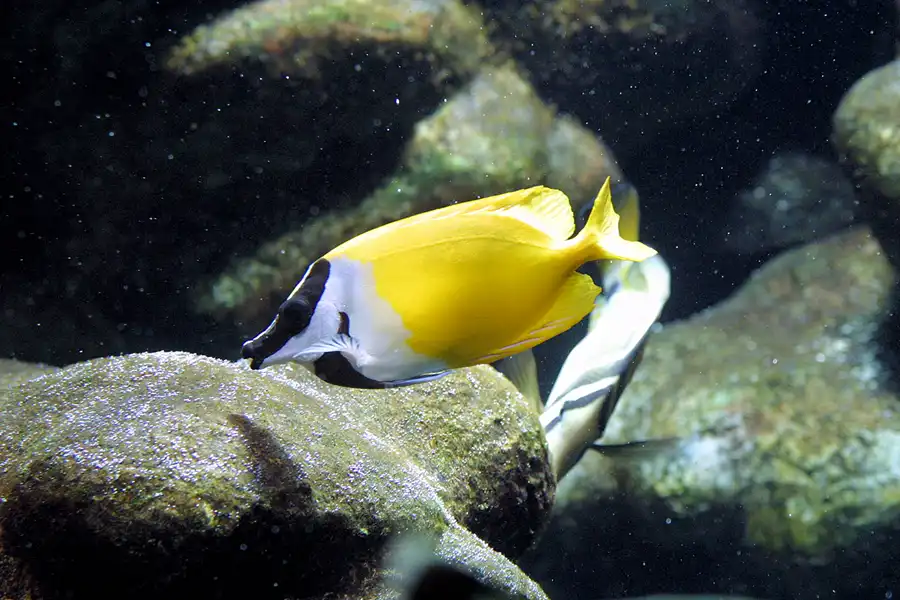 038 | 2004 | Basel | Zoologischer Garten | © carsten riede fotografie