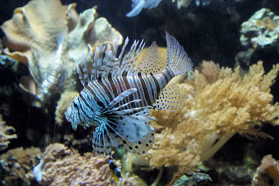 040 | 2004 | Basel | Zoologischer Garten | © carsten riede fotografie