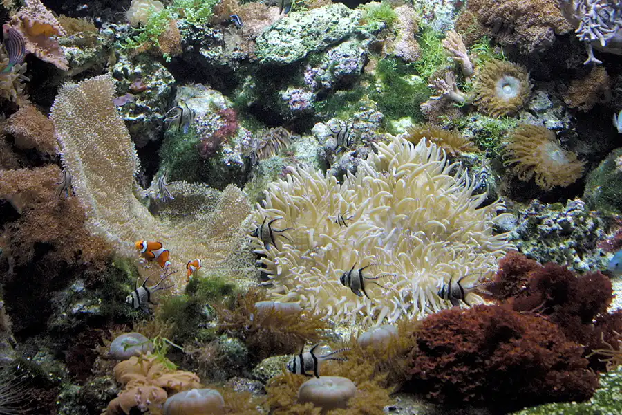 042 | 2004 | Basel | Zoologischer Garten | © carsten riede fotografie