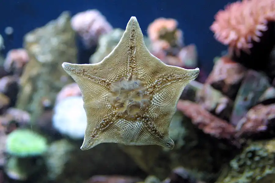 043 | 2004 | Basel | Zoologischer Garten | © carsten riede fotografie