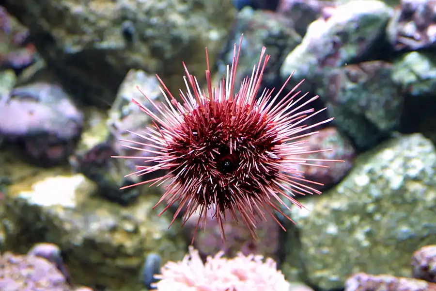 044 | 2004 | Basel | Zoologischer Garten | © carsten riede fotografie