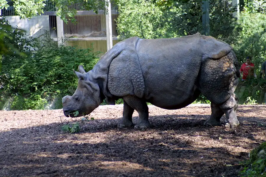 049 | 2004 | Basel | Zoologischer Garten | © carsten riede fotografie