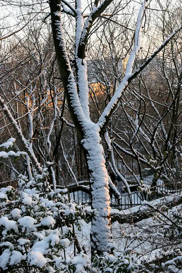 005 | 2005 | Berlin | Volkspark Prenzlauer Berg | © carsten riede fotografie