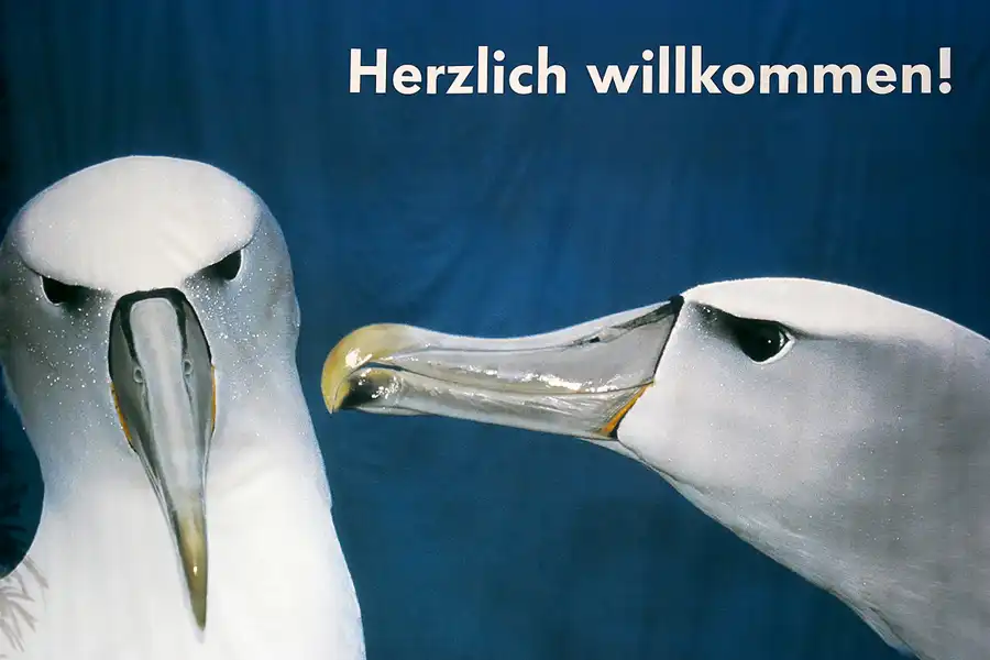 017 | 2005 | Berlin | Automobil Forum | © carsten riede fotografie