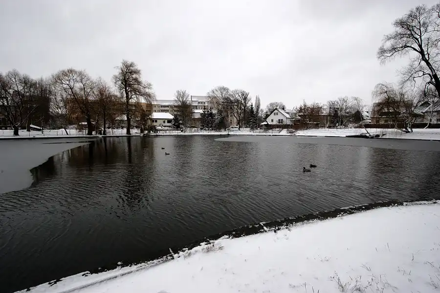 040 | 2005 | Berlin | Obersee-Orankesee-Park | © carsten riede fotografie