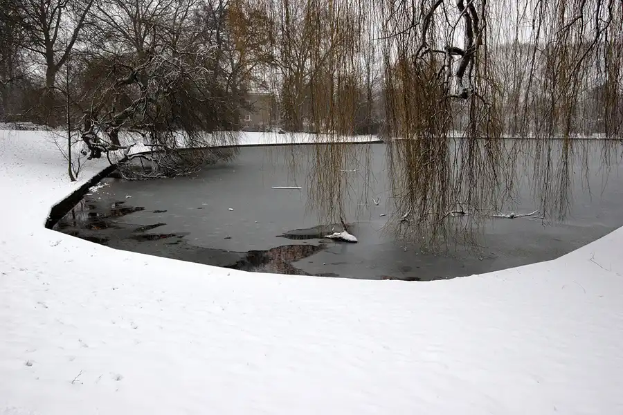 045 | 2005 | Berlin | Obersee-Orankesee-Park | © carsten riede fotografie