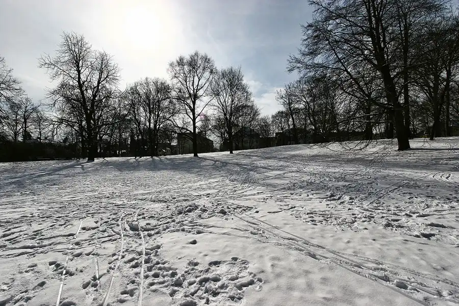 049 | 2005 | Berlin | Obersee-Orankesee-Park | © carsten riede fotografie