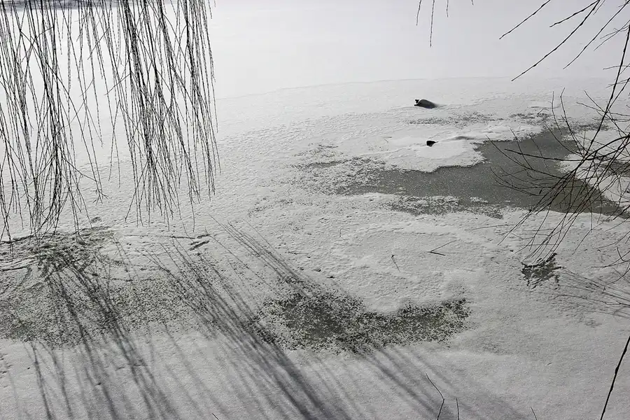 053 | 2005 | Berlin | Obersee-Orankesee-Park | © carsten riede fotografie