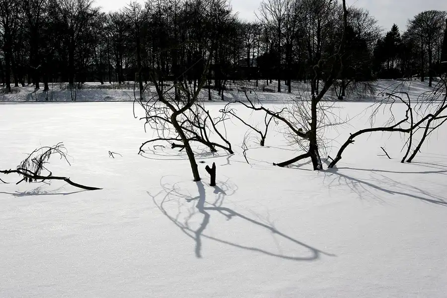 054 | 2005 | Berlin | Obersee-Orankesee-Park | © carsten riede fotografie