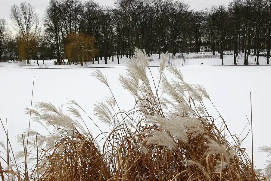 058 | 2005 | Berlin | Obersee-Orankesee-Park | © carsten riede fotografie
