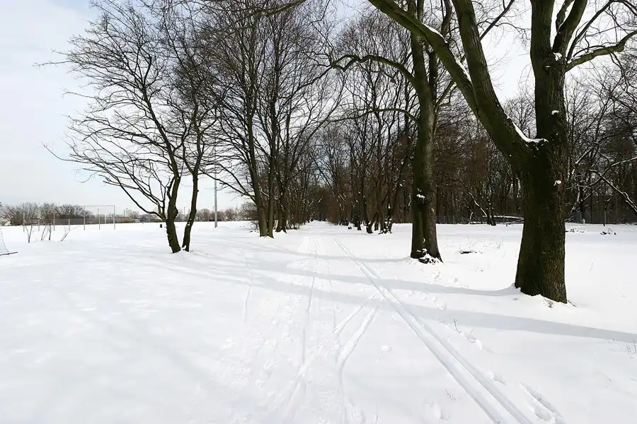 059 | 2005 | Berlin | Rund um das NSG Fauler See | © carsten riede fotografie