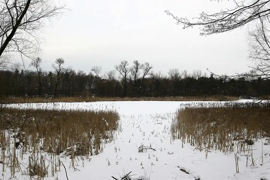 060 | 2005 | Berlin | Rund um das NSG Fauler See | © carsten riede fotografie