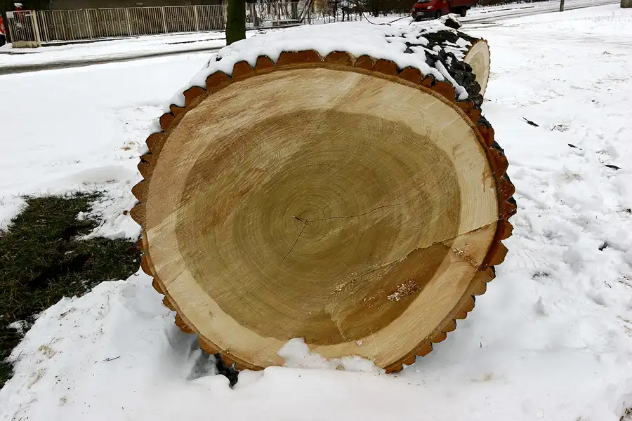 061 | 2005 | Berlin | Obersee-Orankesee-Park | © carsten riede fotografie