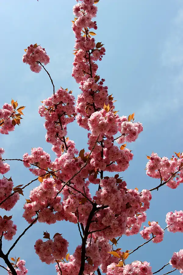 067 | 2005 | Berlin | © carsten riede fotografie