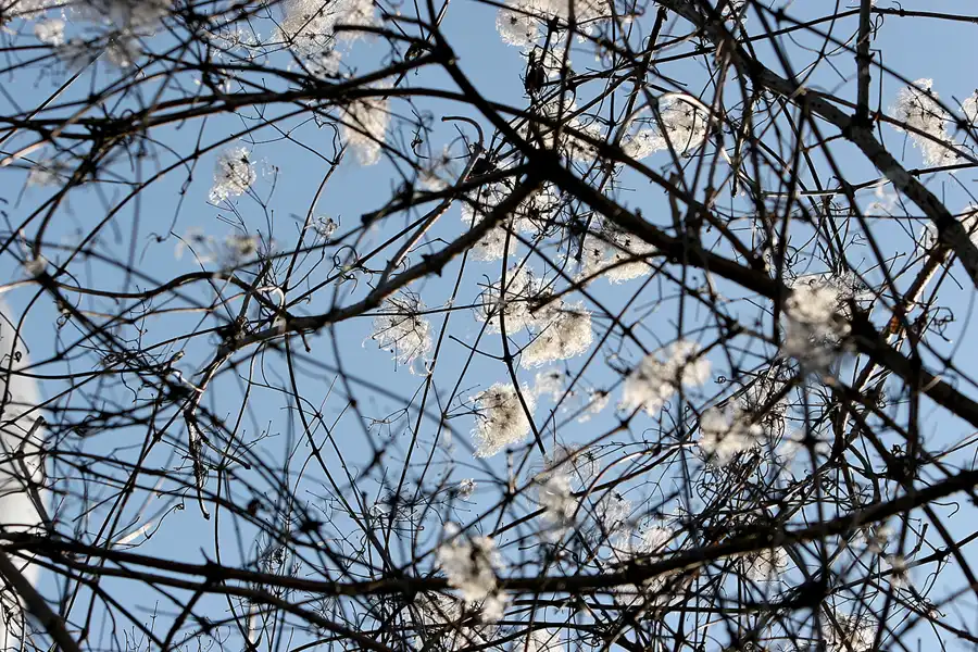 033 | 2005 | Berlin | Teufelsberg | © carsten riede fotografie