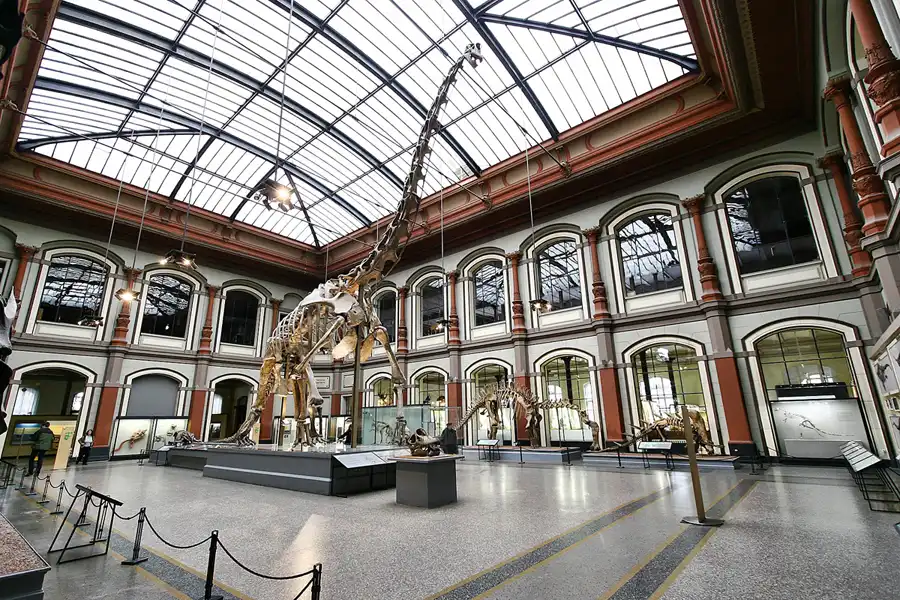 001 | 2005 | Berlin | Museum für Naturkunde | © carsten riede fotografie