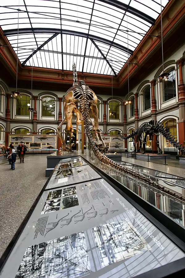 014 | 2005 | Berlin | Museum für Naturkunde | © carsten riede fotografie