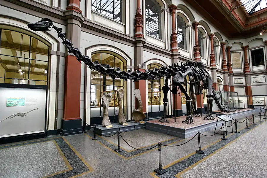 015 | 2005 | Berlin | Museum für Naturkunde | © carsten riede fotografie