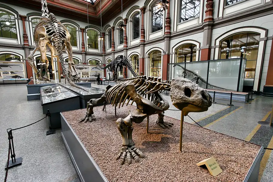 017 | 2005 | Berlin | Museum für Naturkunde | © carsten riede fotografie