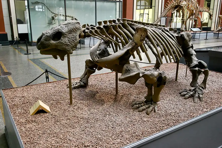 018 | 2005 | Berlin | Museum für Naturkunde | © carsten riede fotografie