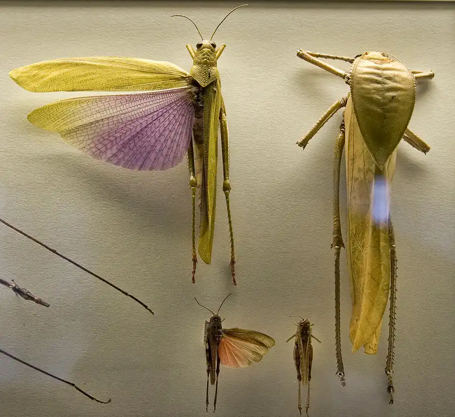 025 | 2005 | Berlin | Museum für Naturkunde | © carsten riede fotografie