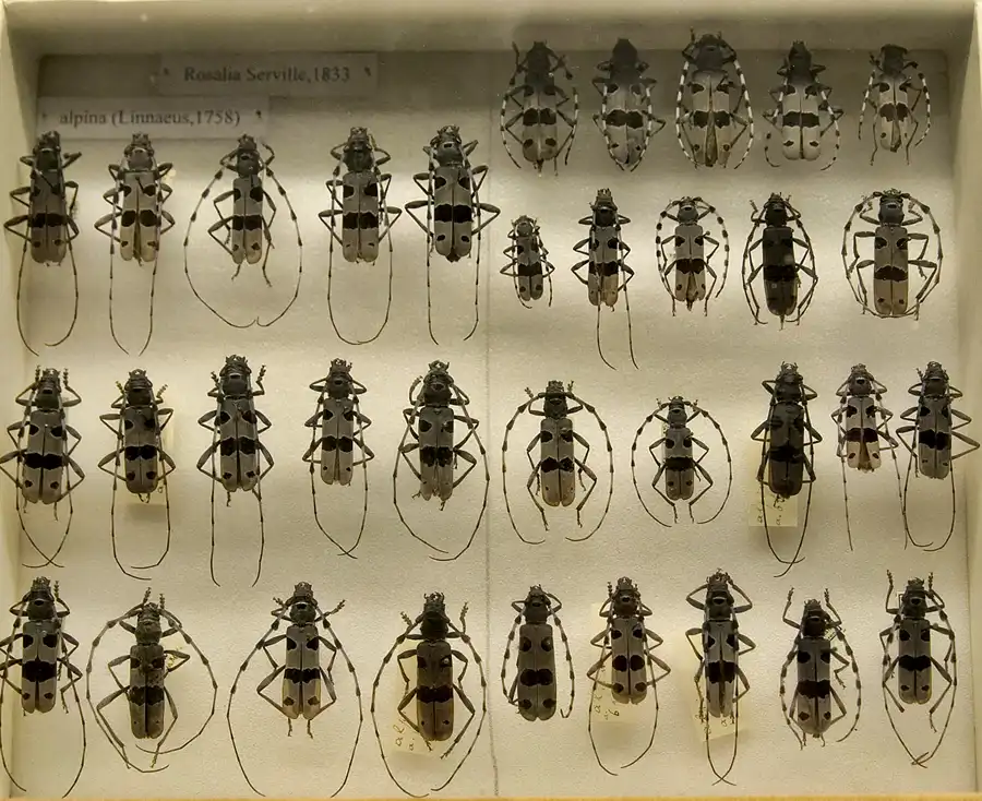 027 | 2005 | Berlin | Museum für Naturkunde | © carsten riede fotografie