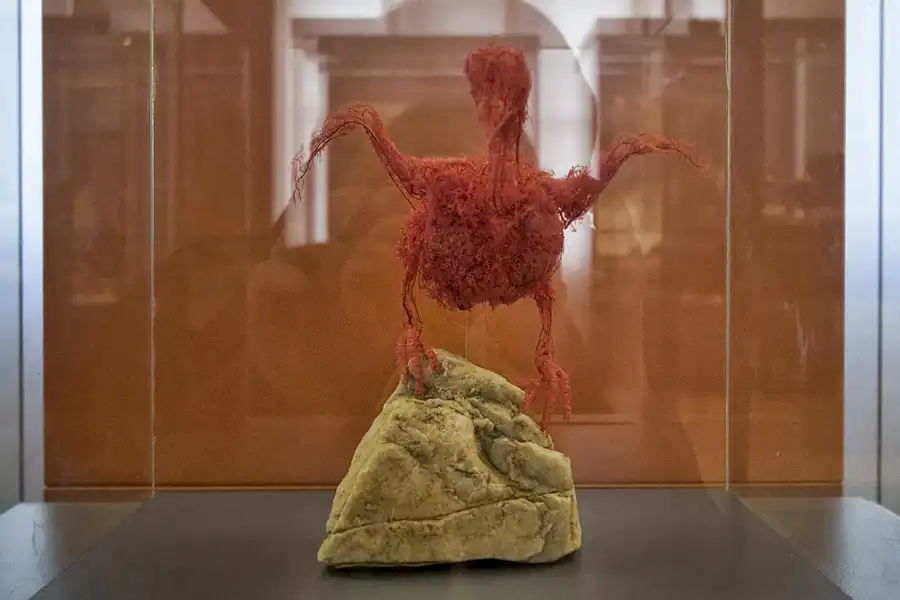 042 | 2005 | Berlin | Museum für Naturkunde | © carsten riede fotografie