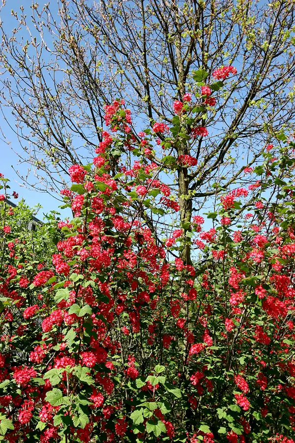 007 | 2005 | Berlin | © carsten riede fotografie