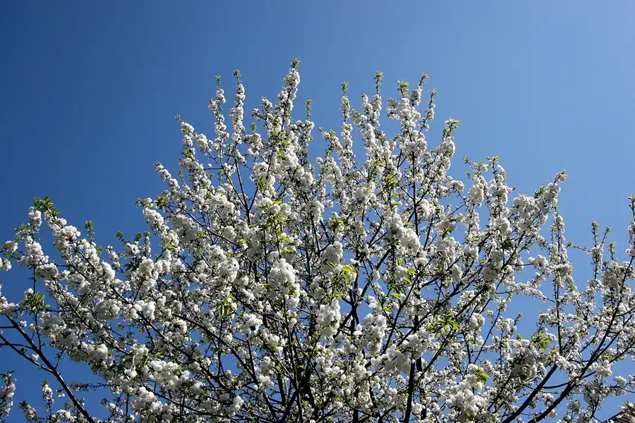 009 | 2005 | Berlin | © carsten riede fotografie