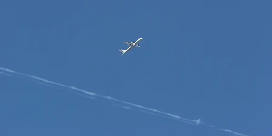 029 | 2005 | Berlin | Obersee-Orankesee-Park | © carsten riede fotografie