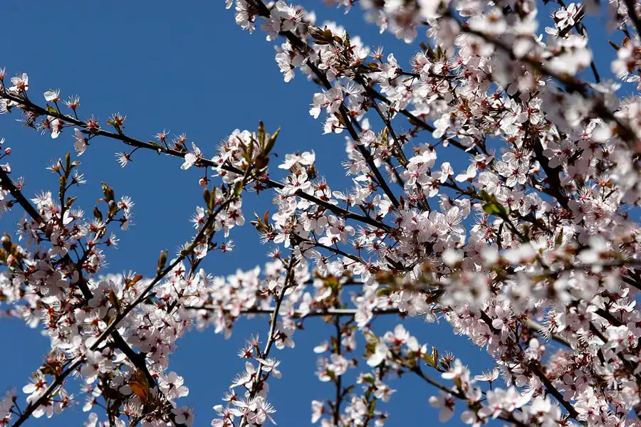 031 | 2005 | Berlin | Obersee-Orankesee-Park | © carsten riede fotografie