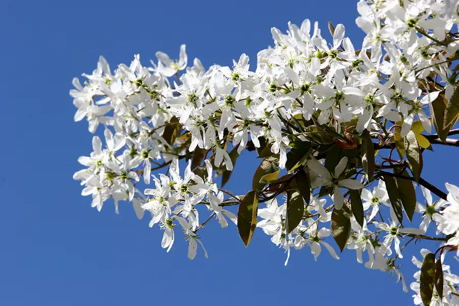 033 | 2005 | Berlin | Obersee-Orankesee-Park | © carsten riede fotografie