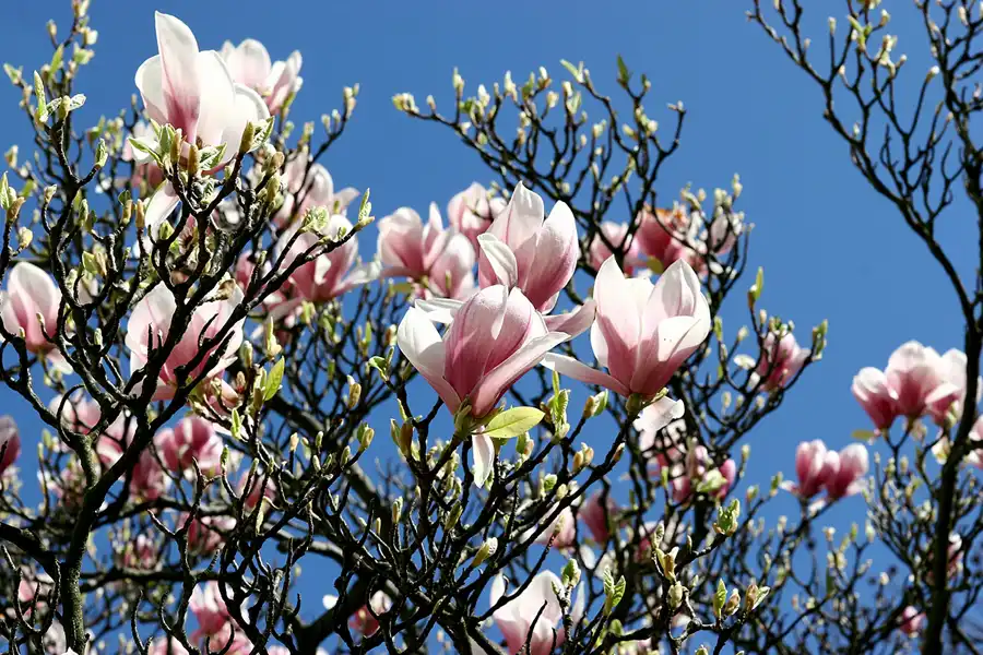 043 | 2005 | Berlin | © carsten riede fotografie