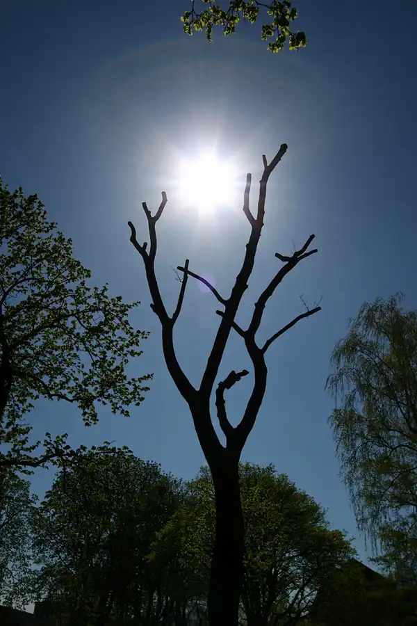 048 | 2005 | Berlin | © carsten riede fotografie