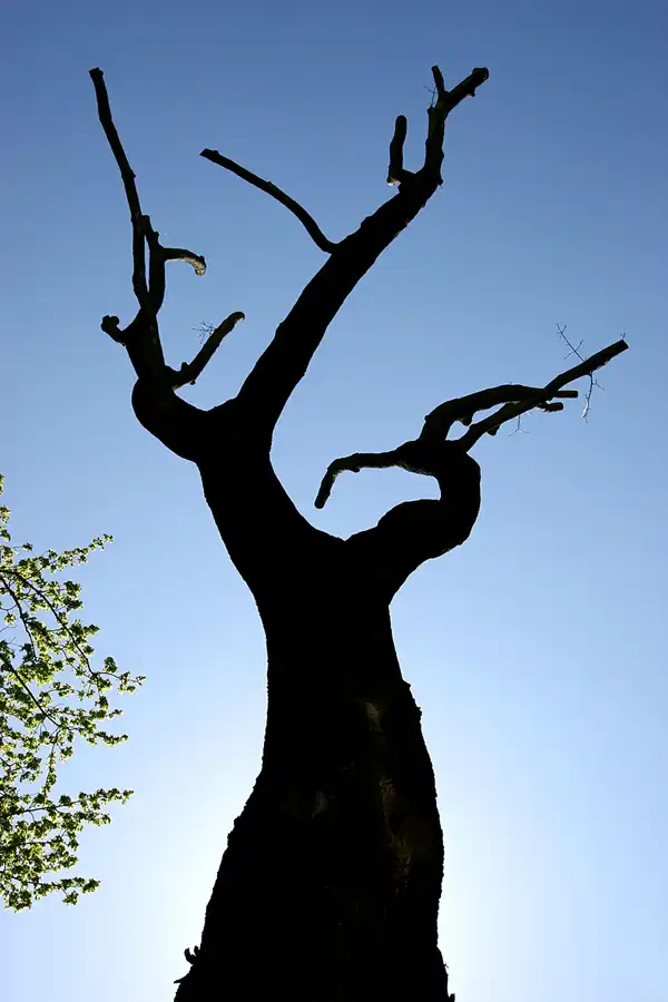 049 | 2005 | Berlin | © carsten riede fotografie