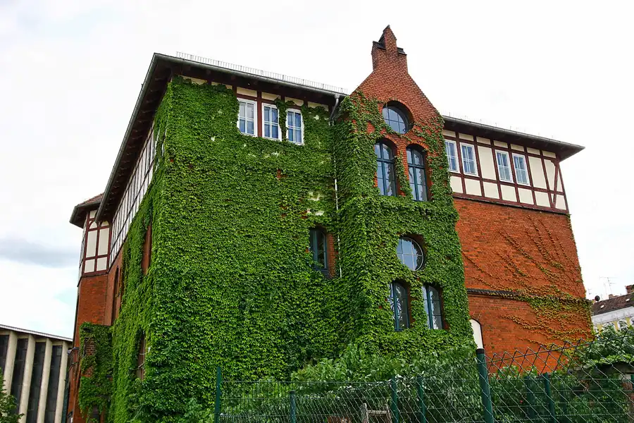 053 | 2005 | Berlin | Gelände Alter Schlachthof | © carsten riede fotografie