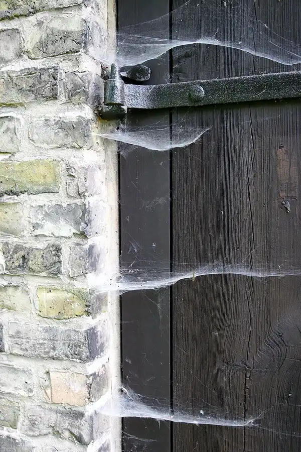 027 | 2005 | Mildenberg | Ziegeleipark | © carsten riede fotografie