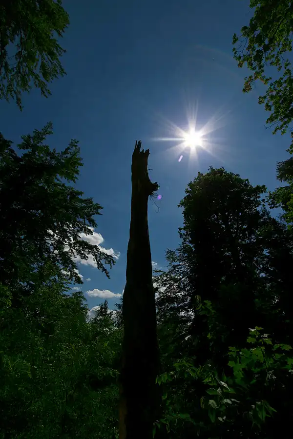 006 | 2005 | Königstein | © carsten riede fotografie