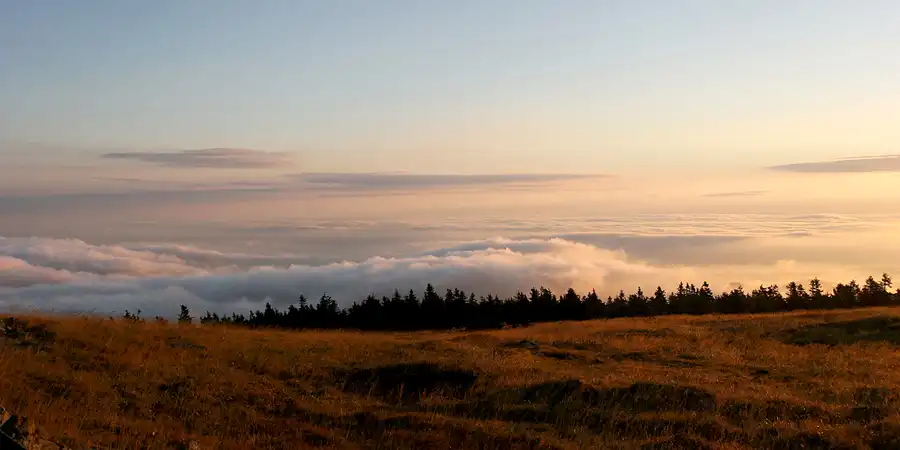 039 | 2005 | Harz | Brocken | © carsten riede fotografie