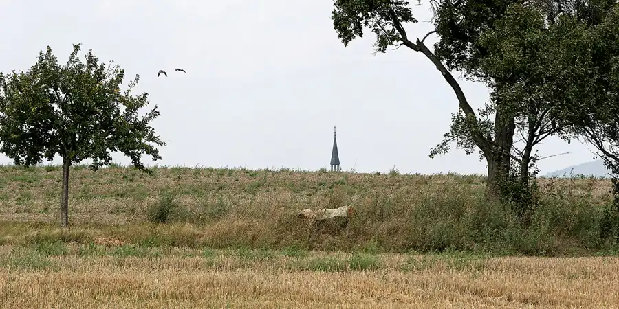 030 | 2005 | Harz | Teufelsmauer | © carsten riede fotografie