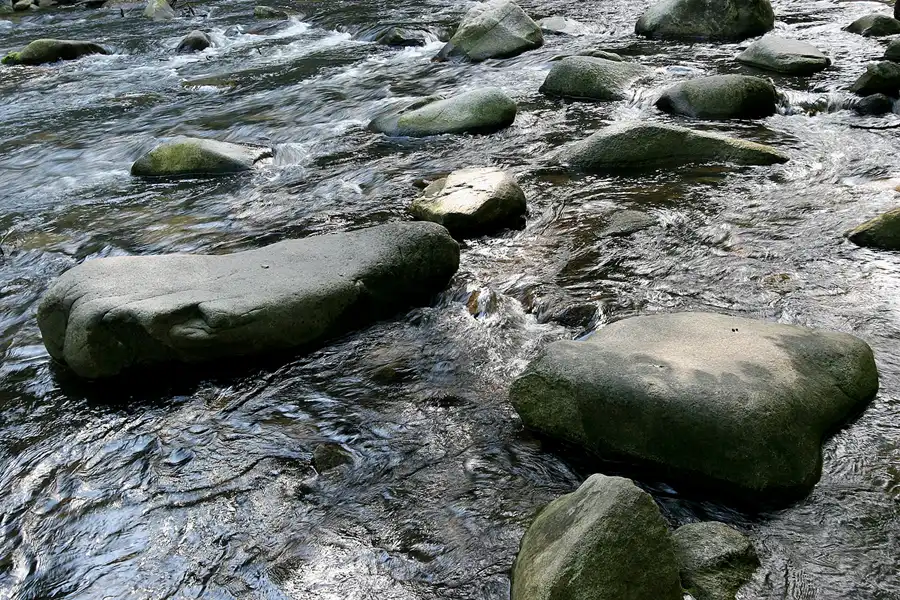 069 | 2005 | Harz | Thale | © carsten riede fotografie