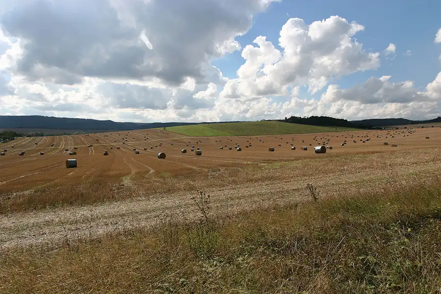 079 | 2005 | Harz | © carsten riede fotografie