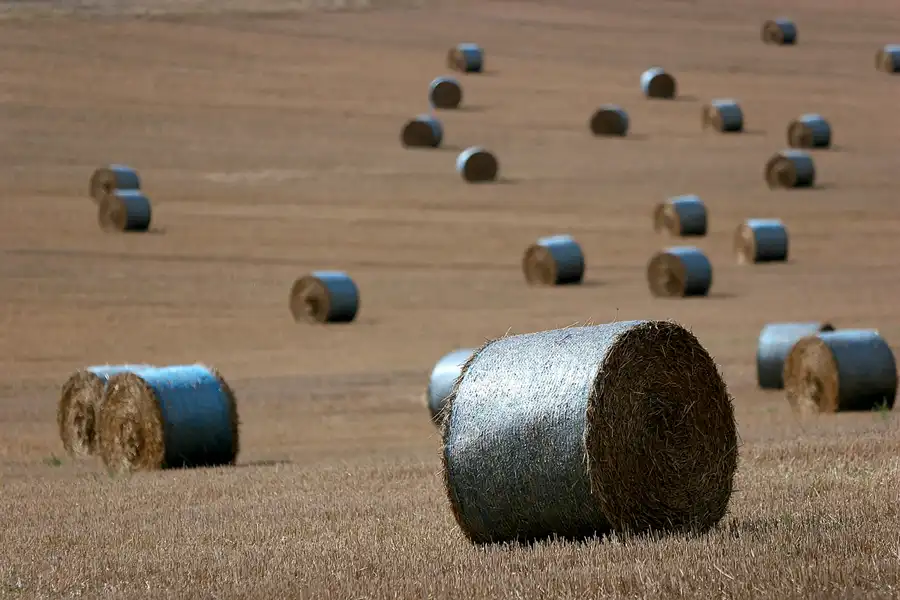 081 | 2005 | Harz | © carsten riede fotografie