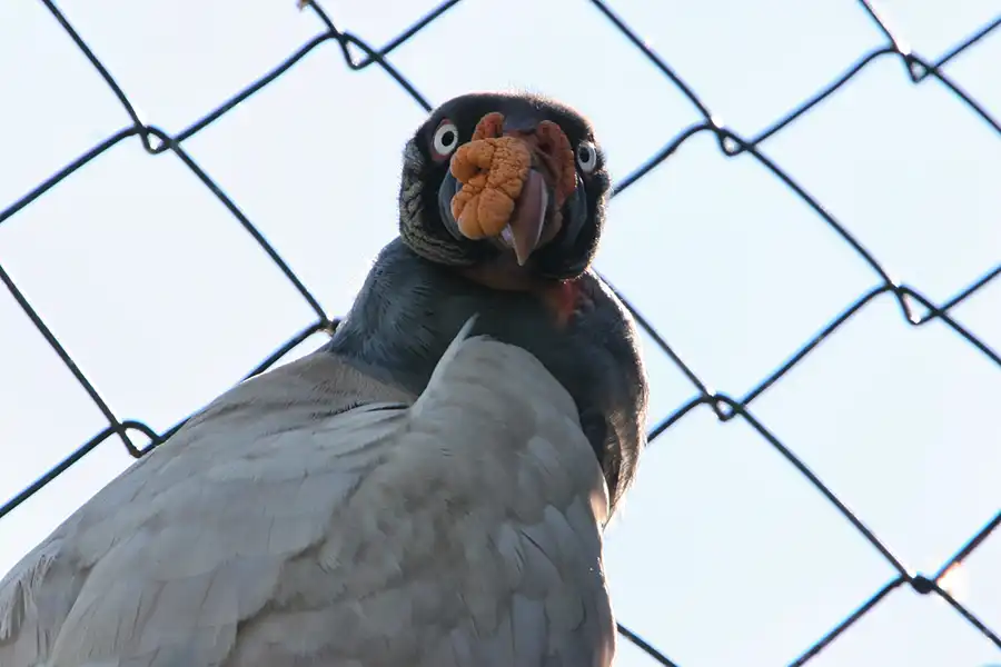 012 | 2005 | Berlin | Tierpark Friedrichsfelde | © carsten riede fotografie