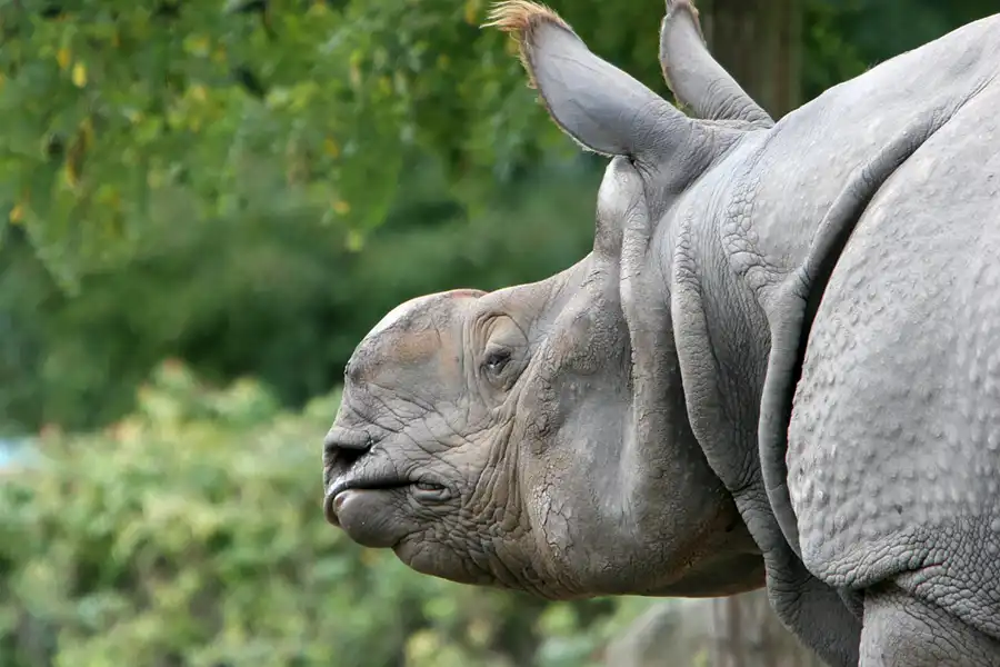 027 | 2005 | Berlin | Tierpark Friedrichsfelde | © carsten riede fotografie