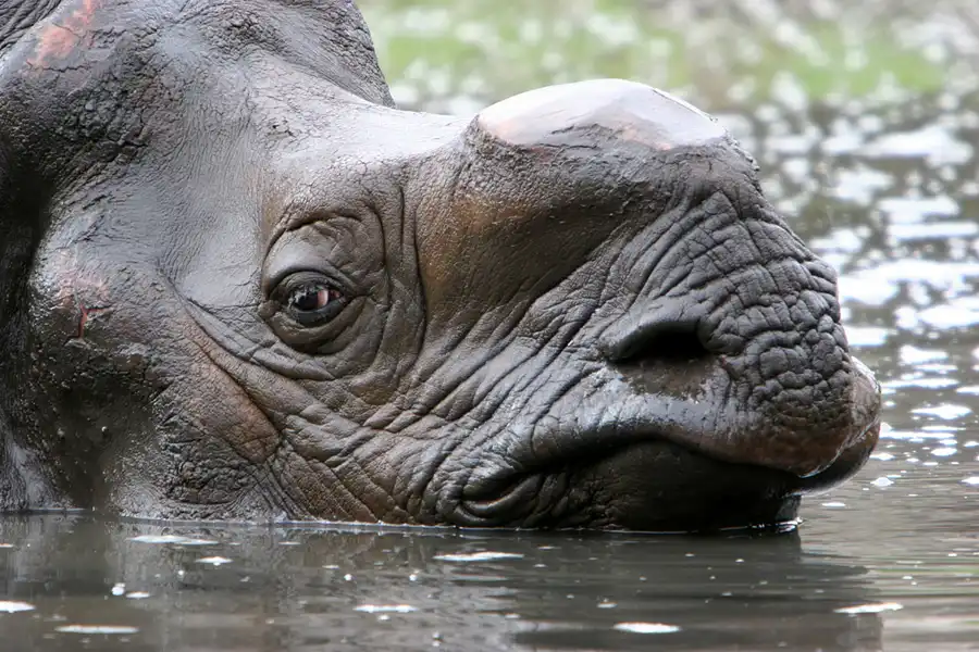 028 | 2005 | Berlin | Tierpark Friedrichsfelde | © carsten riede fotografie