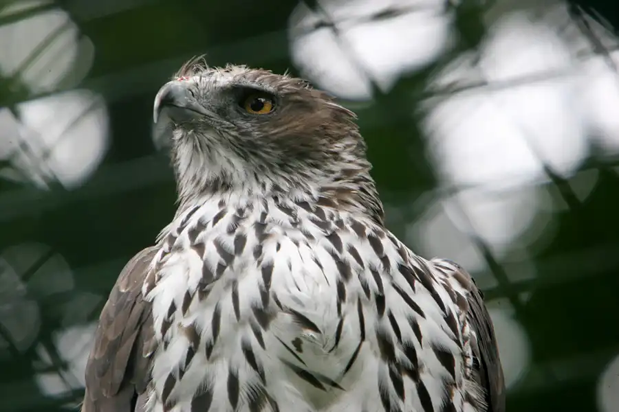 032 | 2005 | Berlin | Tierpark Friedrichsfelde | © carsten riede fotografie