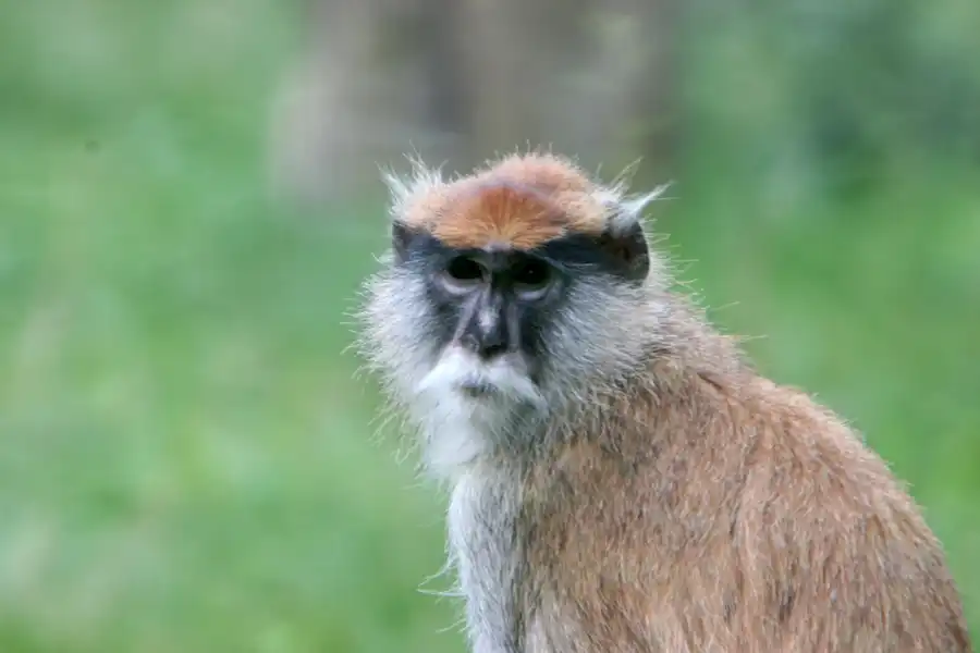 037 | 2005 | Berlin | Tierpark Friedrichsfelde | © carsten riede fotografie