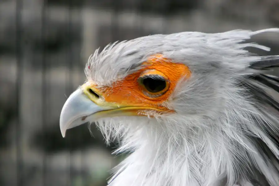 044 | 2005 | Berlin | Tierpark Friedrichsfelde | © carsten riede fotografie